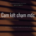 Font SVN Agency FB Font Xinh
