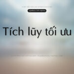 Font SVN Aptima Font Xinh