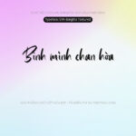 Font SVN BargittaTextured Font Xinh