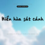 Font SVN BeCool +Swashes Font Xinh
