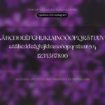 Font SVN Bestagrach Font Xinh