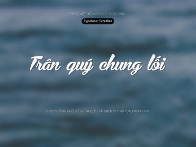 Font SVN Bira Font Xinh