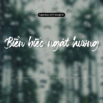 Font SVN Bougher Font Xinh