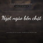 Font SVN Dancing Script Font Xinh