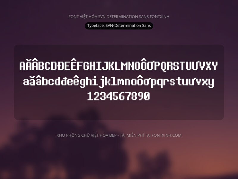 Font SVN DeterminationSans Font Xinh