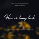 Font SVN Diamonda Font Xinh