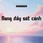 Font SVN Karasha Font Xinh