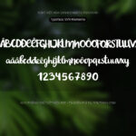 Font SVN Momento Font Xinh