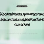 Font SVN Okami Font Xinh