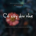 Font SVN Pentastic Font Xinh