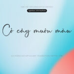 Font SVN Rushtick Font Xinh