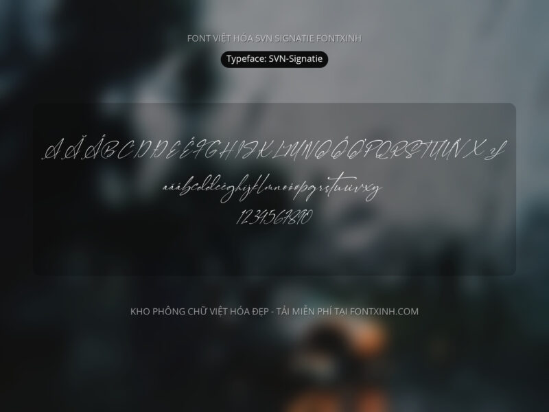 Font SVN Signatie Font Xinh