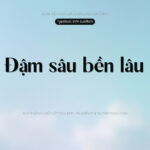 Font SVN Sunflora Font Xinh