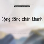 Font SVN The Cat Whiskers Font Xinh