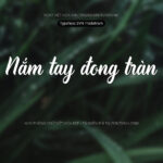 Font SVN TradeMark Font Xinh