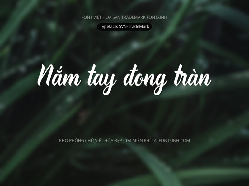Font SVN TradeMark Font Xinh