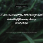Font SVN TradeMark Font Xinh