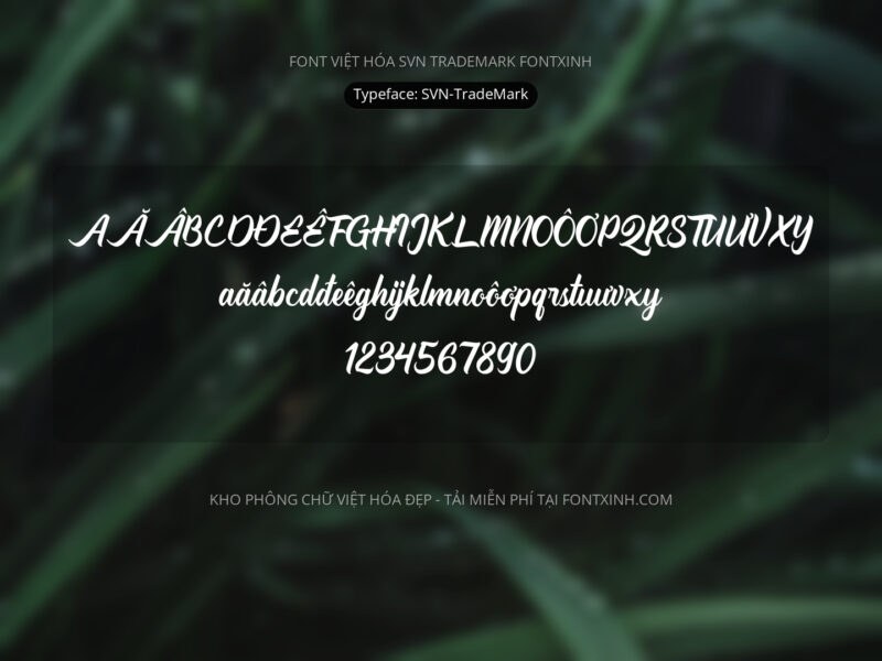 Font SVN TradeMark Font Xinh