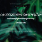 Font SVN TwilightScript Font Xinh