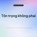 Font Spotify Font Xinh