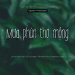 Font TP Fall Season Font Xinh