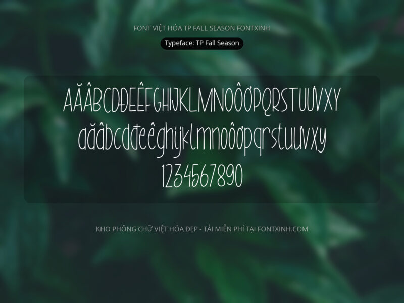 Font TP Fall Season Font Xinh