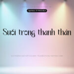 Font TP PROCHELY Font Xinh