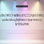 Font TP PROCHELY Font Xinh
