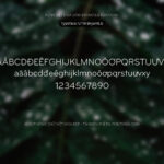 Font UTM Bryantlg Font Xinh