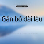 Font UTM Daxline Font Xinh