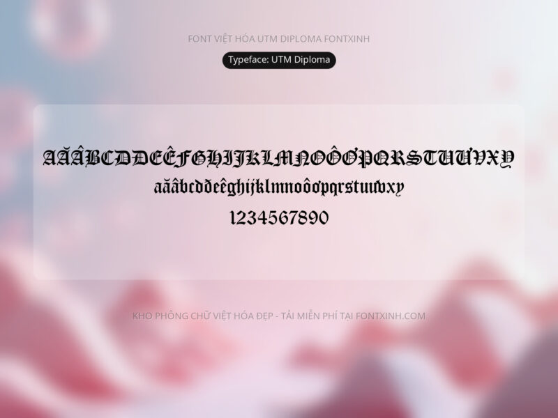 Font UTM Diploma Font Xinh
