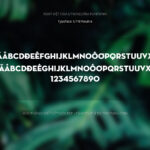 Font UTM Neutra Font Xinh