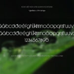 Font UTM Soraya Font Xinh