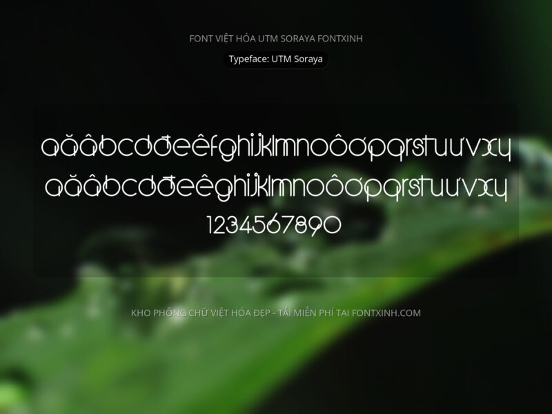 Font UTM Soraya Font Xinh