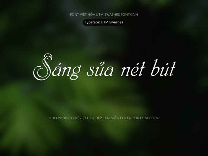 Font UTM Swashes Font Xinh