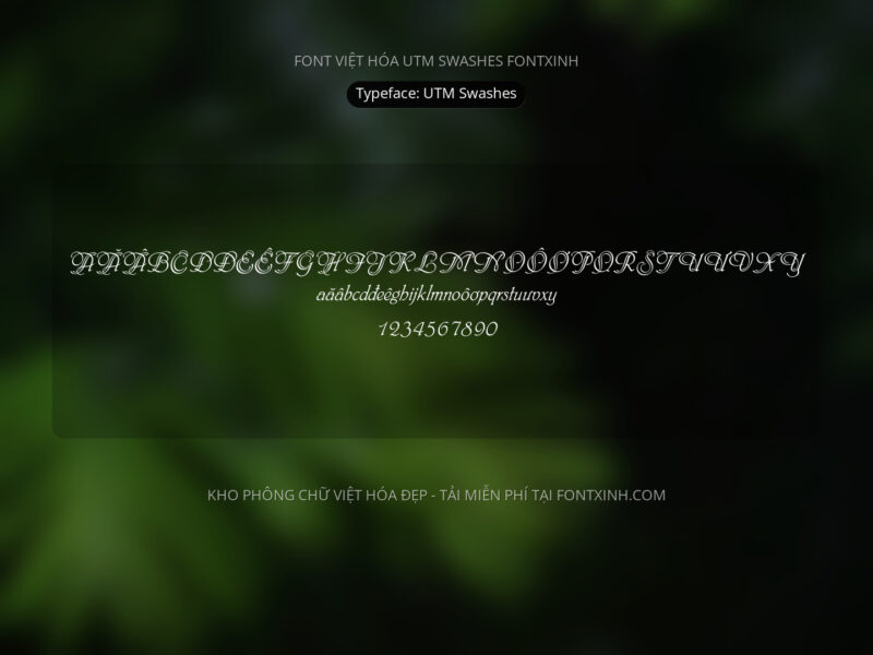 Font UTM Swashes Font Xinh