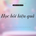 Font UVF Didot Lt Std Italic Font Xinh