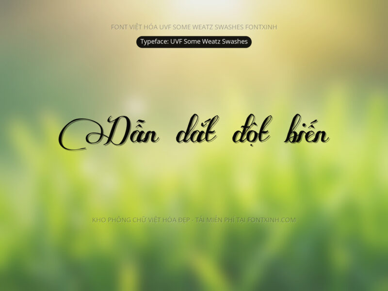 Font UVF Some Weatz Swashes Font Xinh