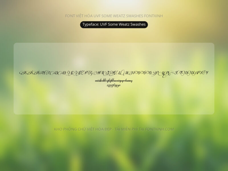 Font UVF Some Weatz Swashes Font Xinh