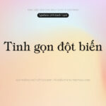 Font UVN Bach Tuyet Font Xinh