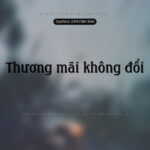 Font UVN Chim Bien Font Xinh