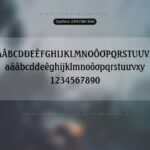 Font UVN Chim Bien Font Xinh