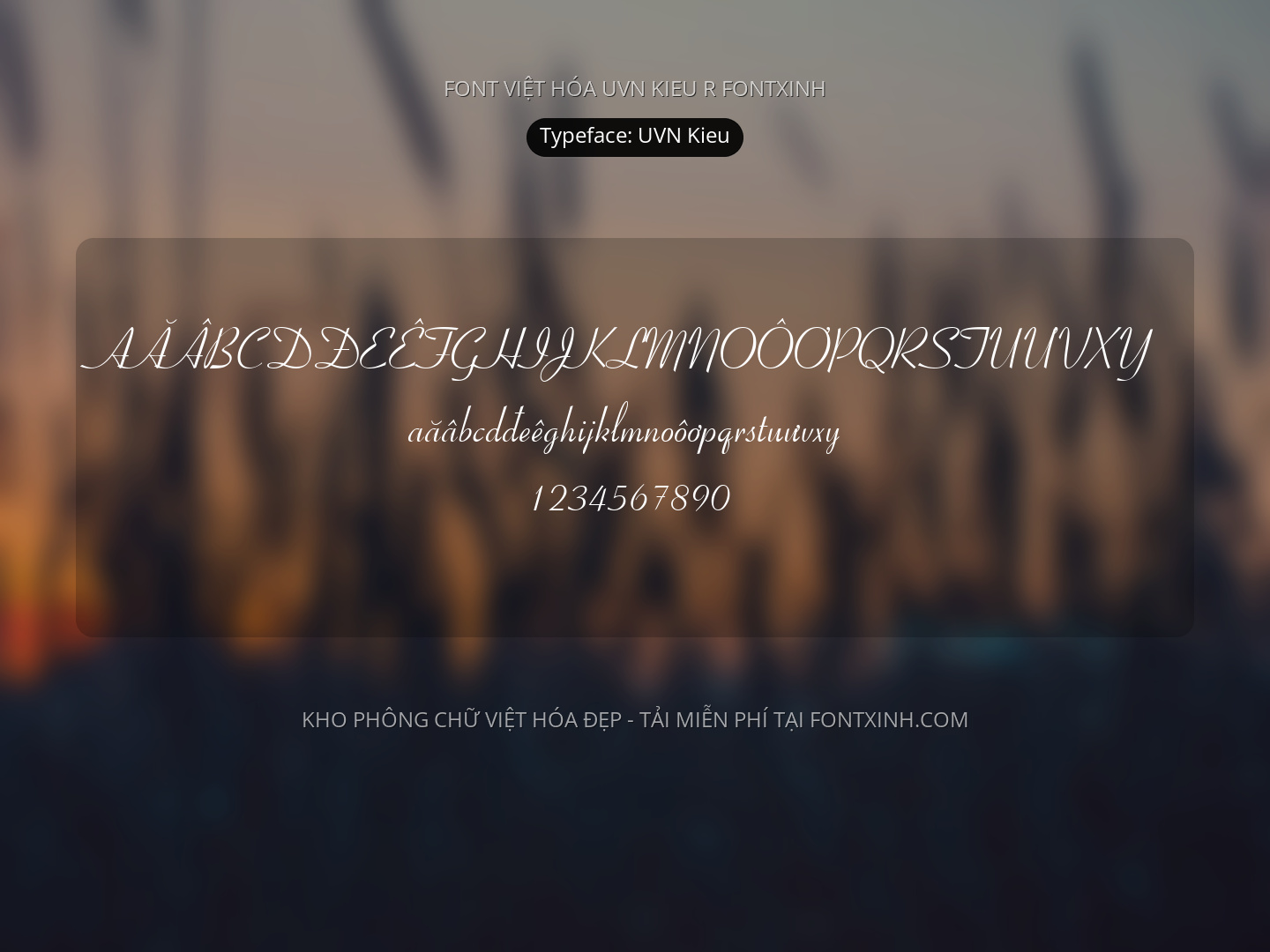 Bay Script Font UVN Kieu Việt Hóa: script bay bổng cho Invitation tinh tế