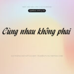 Font UVN Ly Do Font Xinh
