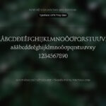 Font UVN Thay Giao Font Xinh