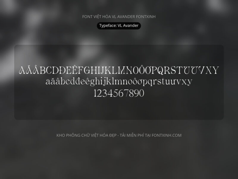 Font VL Avander Font Xinh