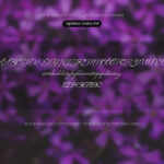 Font Shelia Font Xinh
