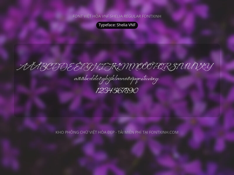 Font Shelia Font Xinh